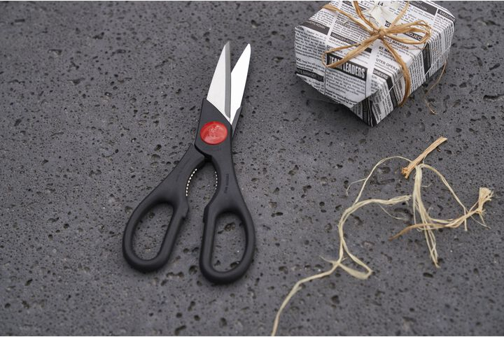 ZWILLING ciseaux - 43967-200-0